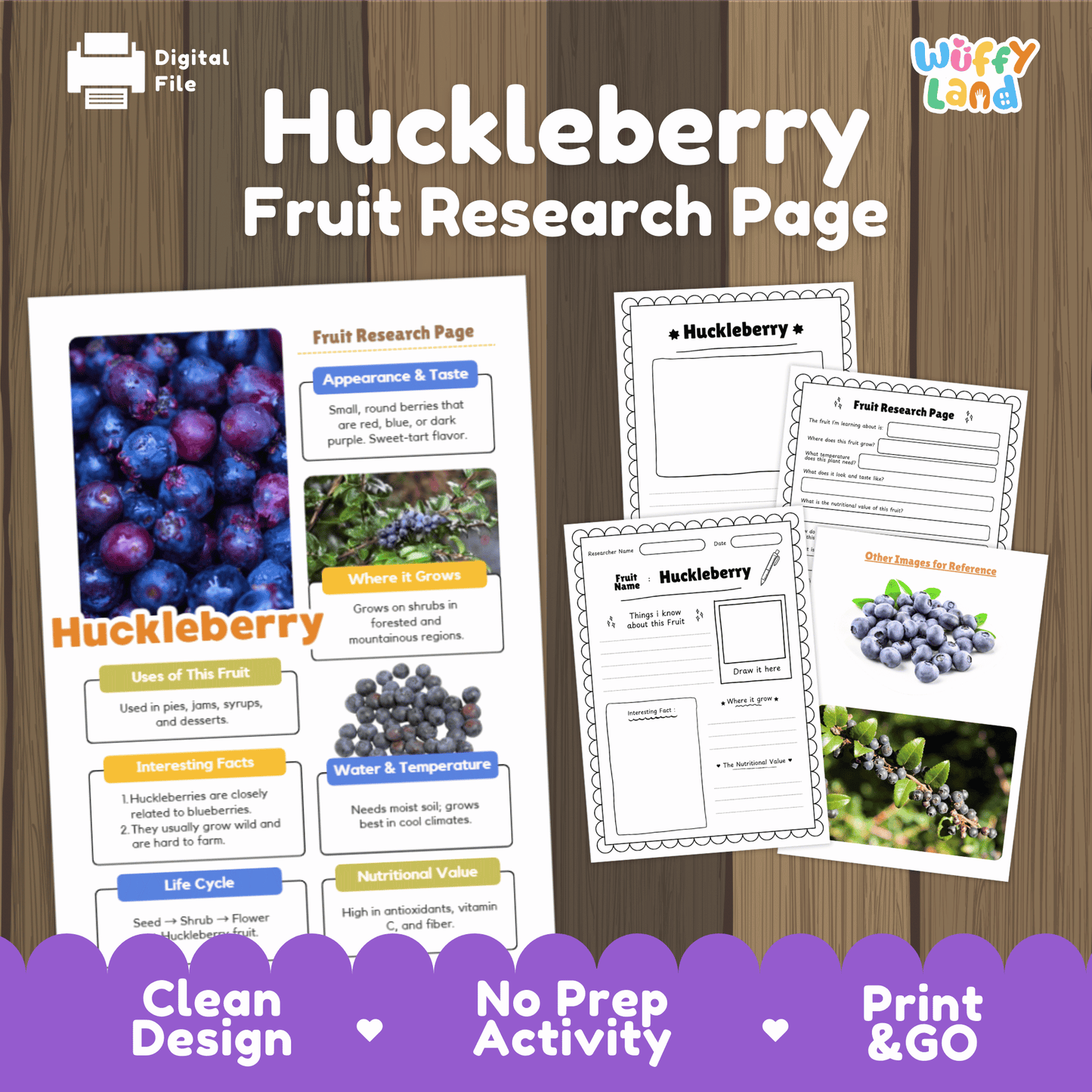 Huckleberry Fruit Research Activity Worksheet Science Wild Berries Nature Study