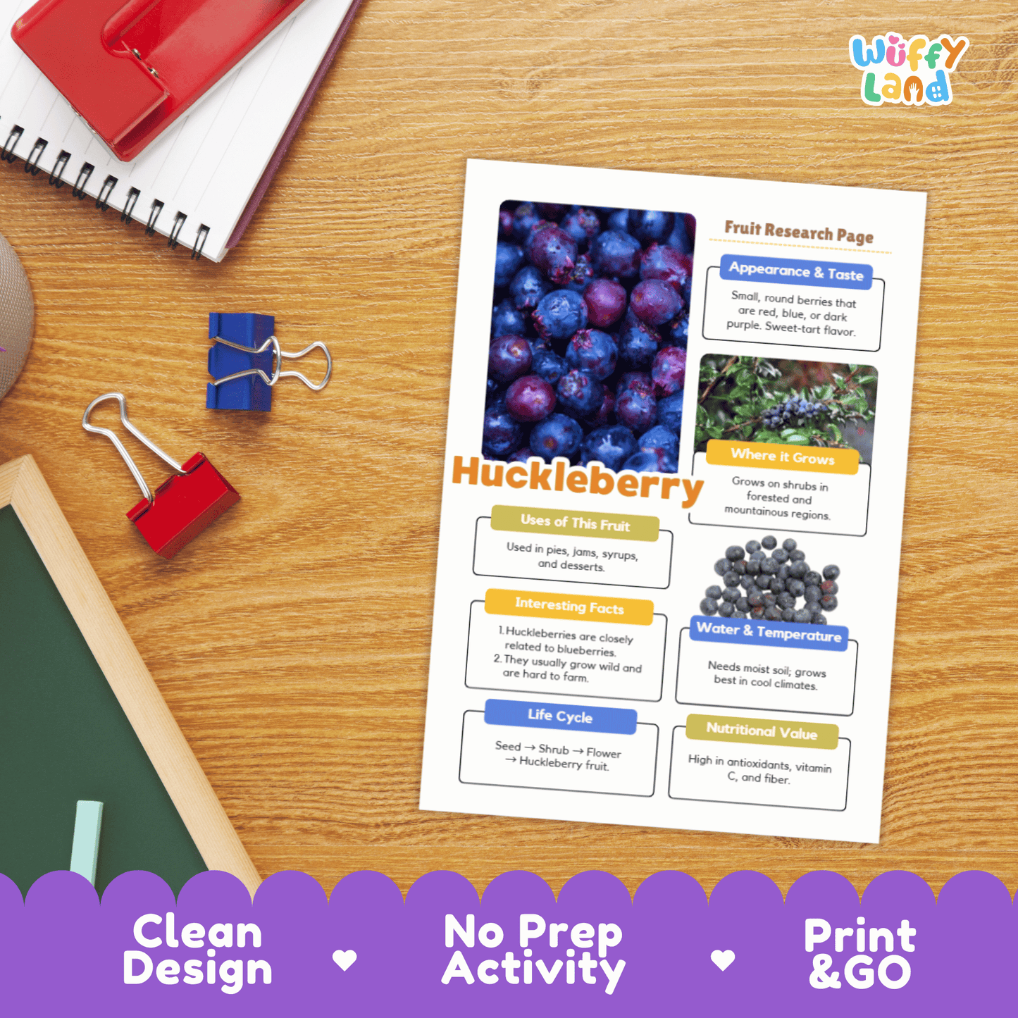 Huckleberry Fruit Research Activity Worksheet Science Wild Berries Nature Study
