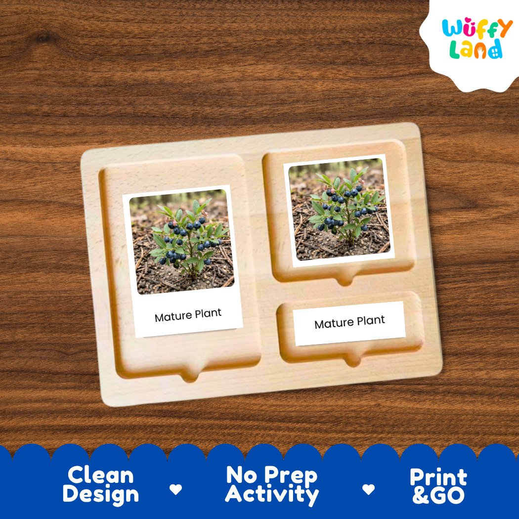 A wooden Montessori-style activity board with two photo slots showing a mature plant, placed on a brown wood-grain surface. The board has a light natural wood finish and includes printed labels reading 'Mature Plant.