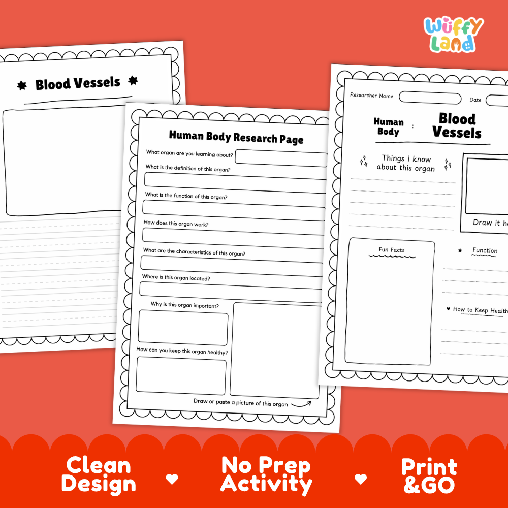 Printable research pages featuring structured writing prompts for organ functions, location, and characteristics