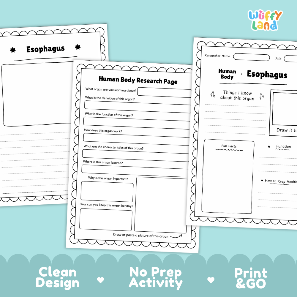 Printable research pages featuring structured writing prompts for organ functions, location, and characteristics