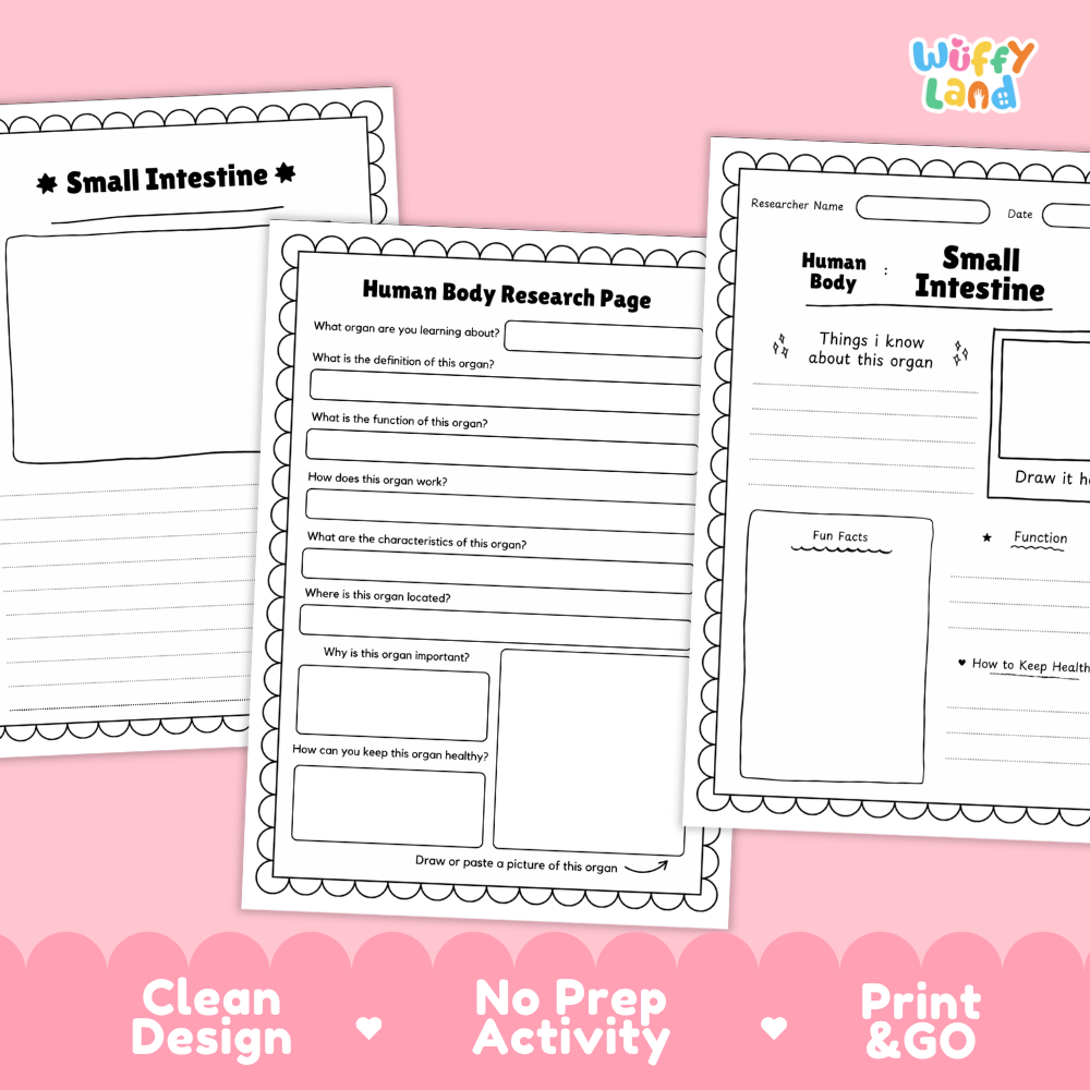 Printable research pages featuring structured writing prompts for organ functions, location, and characteristics