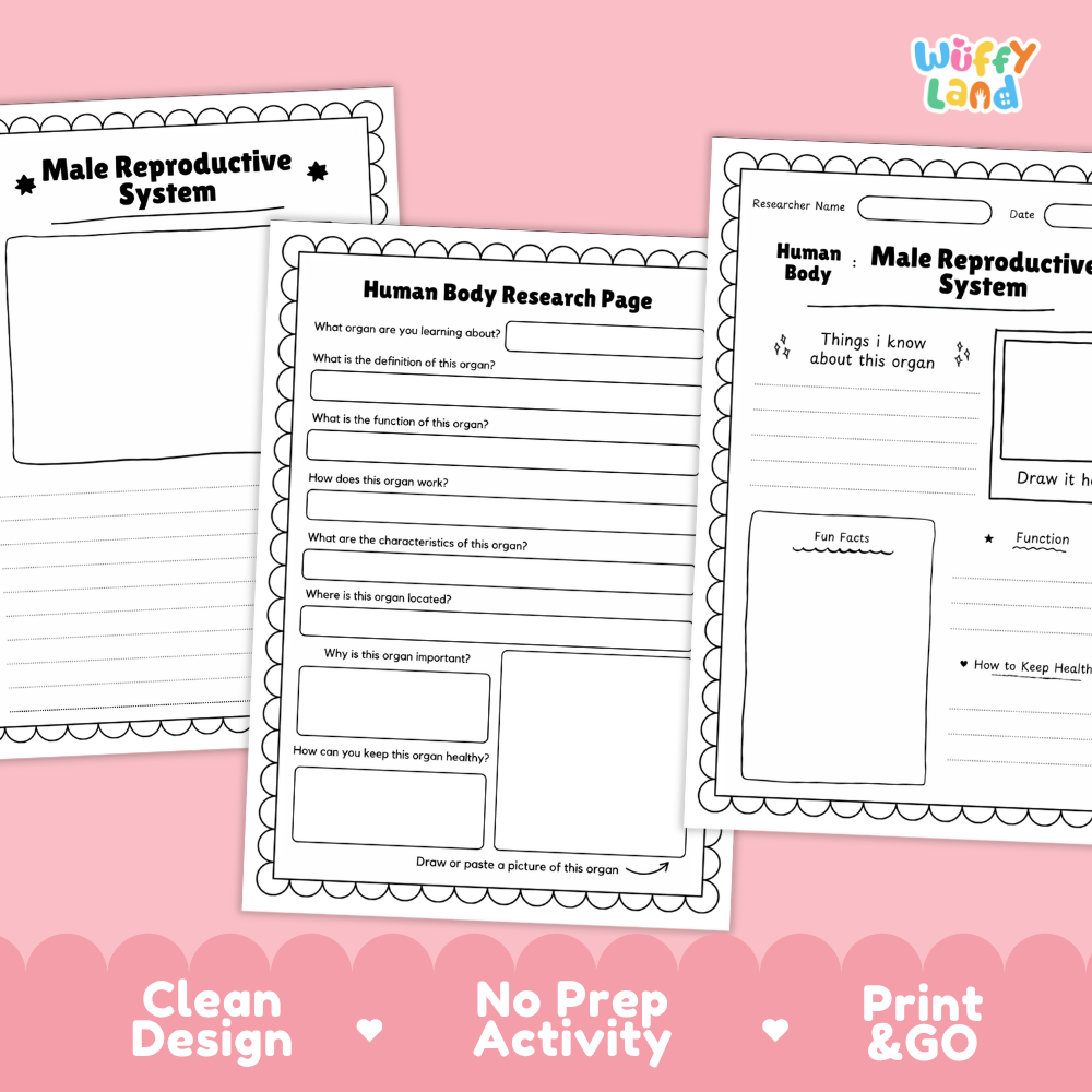 Printable research pages featuring structured writing prompts for system functions, location, and characteristics