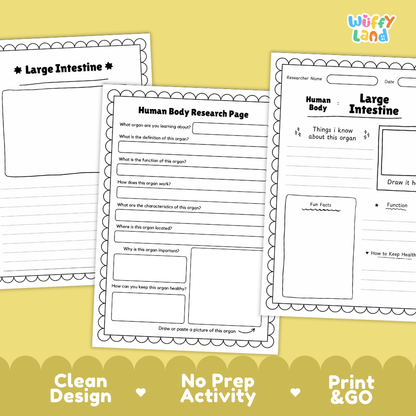 Printable research pages featuring structured writing prompts for organ functions, location, and characteristics