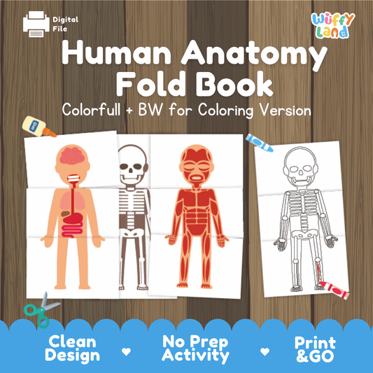 Human Anatomy Foldable Book - Printable Body System Cut & Paste Activity - Science for Kids