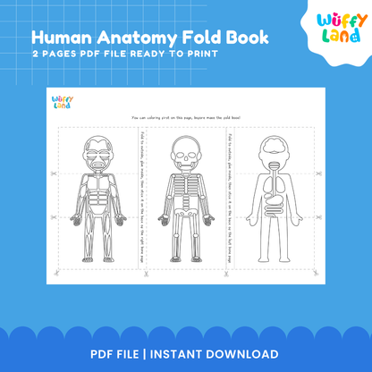 Human Anatomy Foldable Book - Printable Body System Cut & Paste Activity - Science for Kids