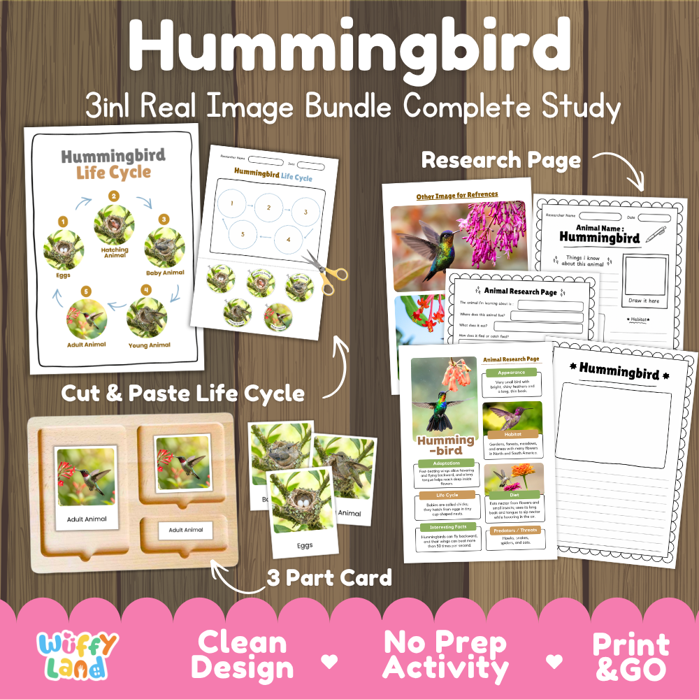 Hummingbird 3-in-1 real image bundle complete study cover showing cut and paste life cycle, 3 part cards, and research pages