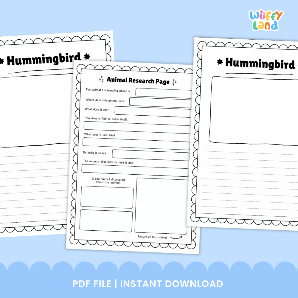 Hummingbird Animal Research Page Worksheets