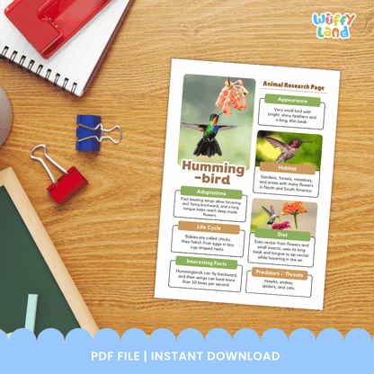 Hummingbird Animal Research Page Worksheets