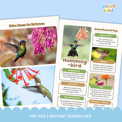 Hummingbird Animal Research Page Worksheets
