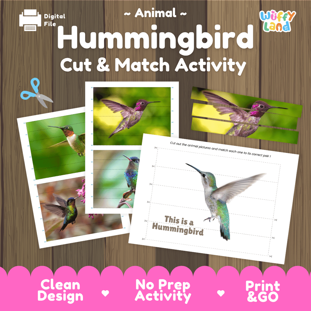 Hummingbird Cut and Match Activity Printables Worksheets
