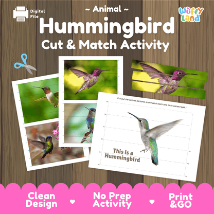Hummingbird Cut and Match Activity Printables Worksheets