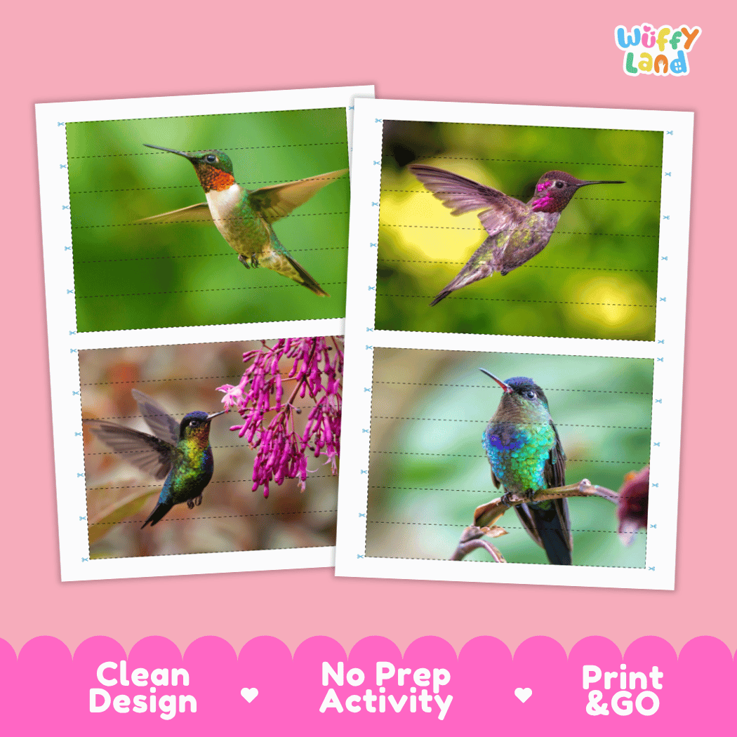 Hummingbird Cut and Match Activity Printables Worksheets
