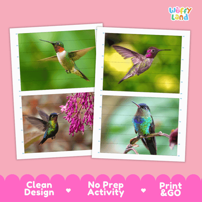Hummingbird Cut and Match Activity Printables Worksheets