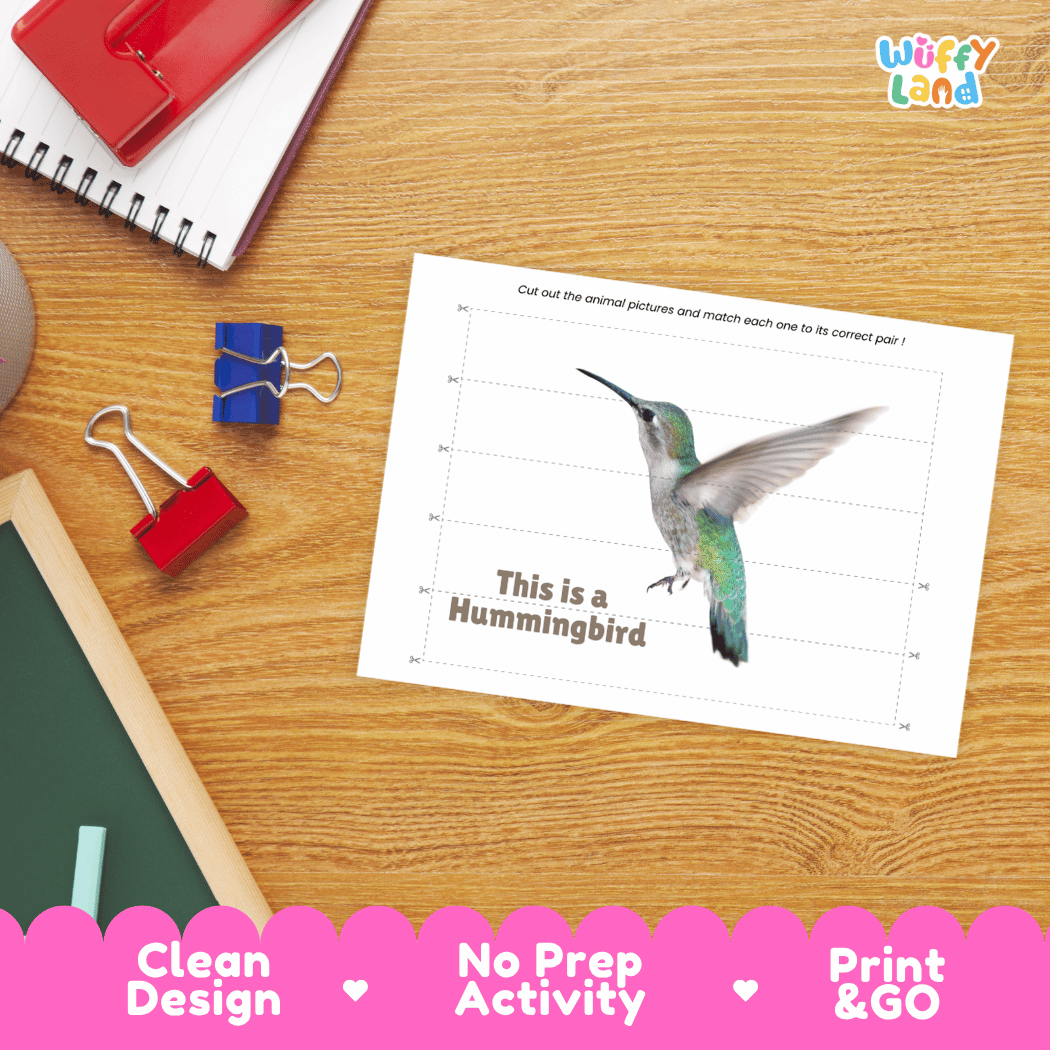Hummingbird Cut and Match Activity Printables Worksheets