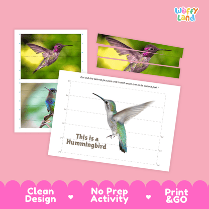 Hummingbird Cut and Match Activity Printables Worksheets