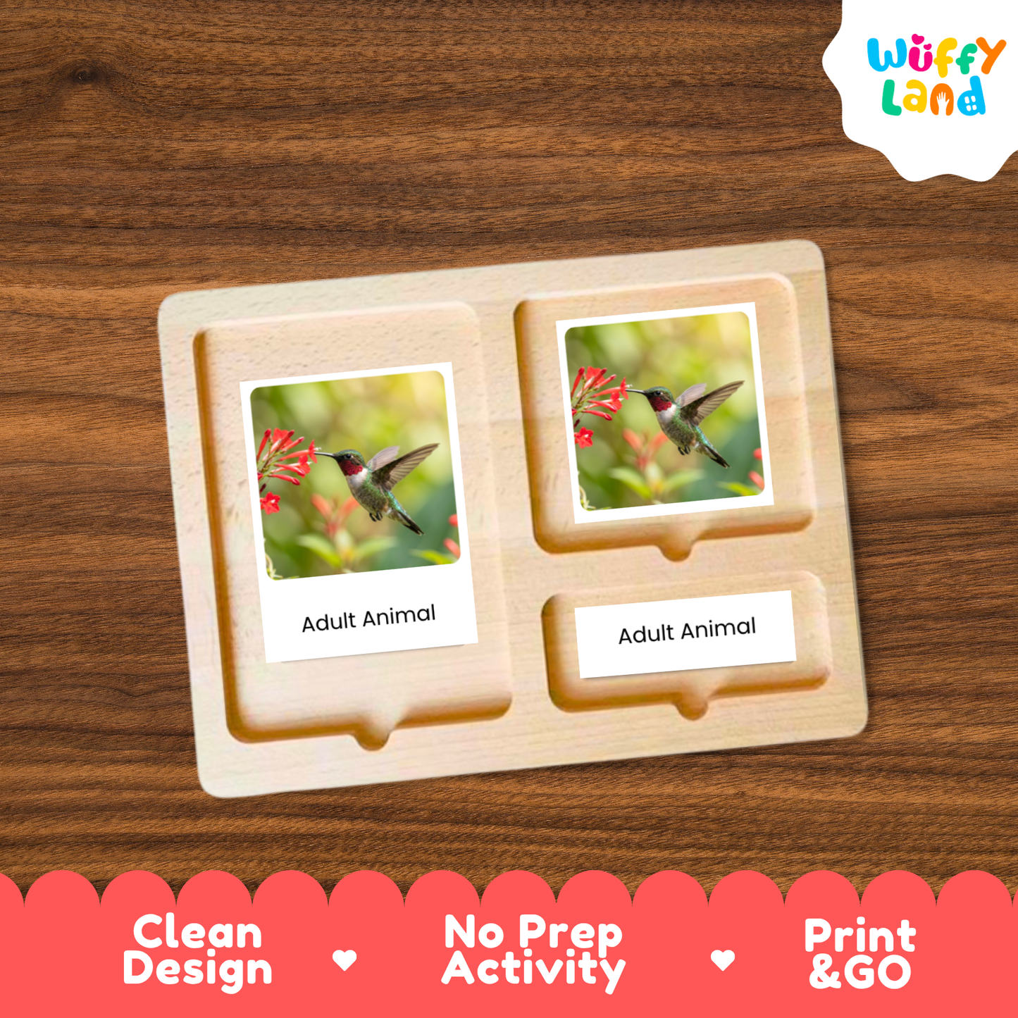 A wooden Montessori-style activity tray with two labeled slots reading 'Adult Animal' and a printed photo of a hummingbird, shown on a wood surface. The brand logo 'Wuffy Land' appears in the top right, and a pink banner at the bottom highlights 'Clean Design', 'No Prep Activity', and 'Print & GO'.