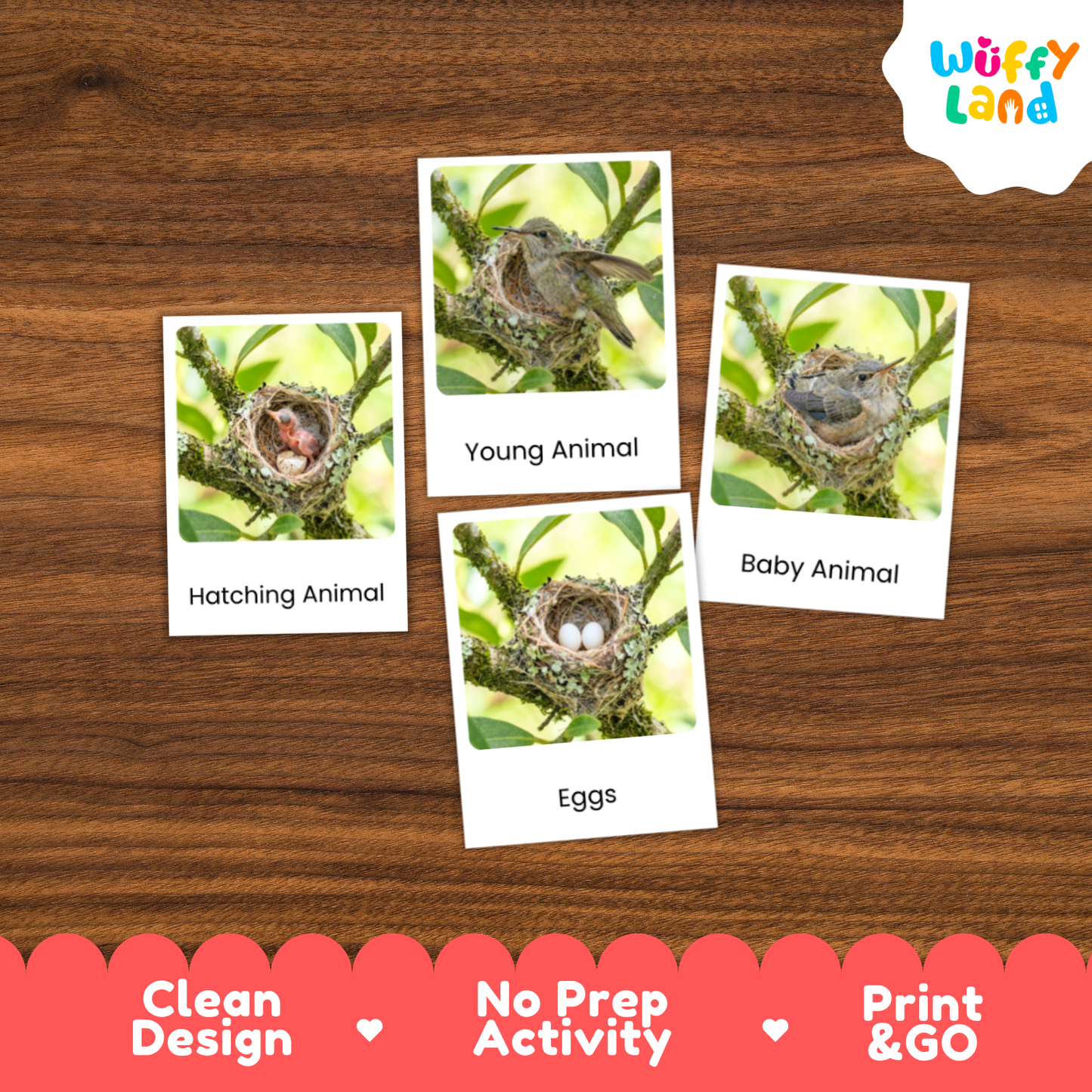 Four educational animal nesting activity cards displayed on a brown wood background. The cards feature images of bird nests and birds with labels reading 'Hatching Animal', 'Young Animal', 'Baby Animal', and 'Eggs'.