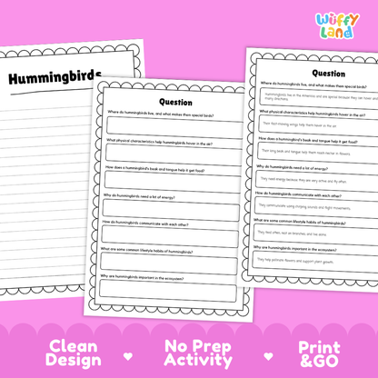 Three educational activity sheets for hummingbirds displayed on a pink background with text reading 'Clean Design', 'No Prep Activity', and 'Print & GO'. The sheets have black text and border lines on white paper, and the brand name 'Wiffly Land' appears in the top right corner.
