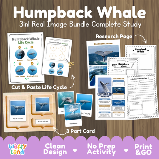 Humpback whale 3-in-1 real image bundle complete study cover showing cut and paste life cycle, 3 part cards, and research pages