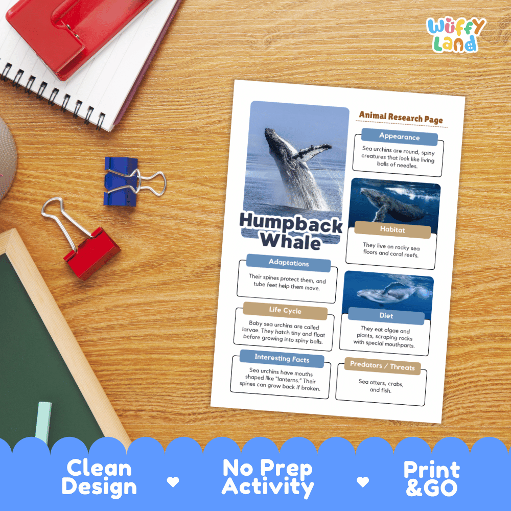 An educational printable worksheet titled 'Humpback Whale' shown on a wooden desk with school supplies. The white sheet includes animal research page layout blocks with whale photos and text.