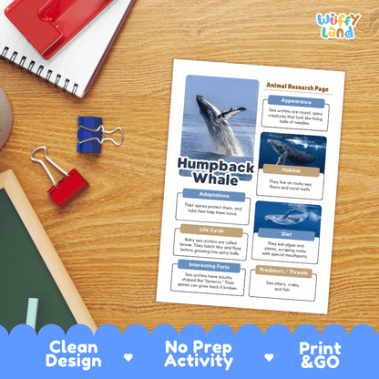 An educational printable worksheet titled 'Humpback Whale' shown on a wooden desk with school supplies. The white sheet includes animal research page layout blocks with whale photos and text.