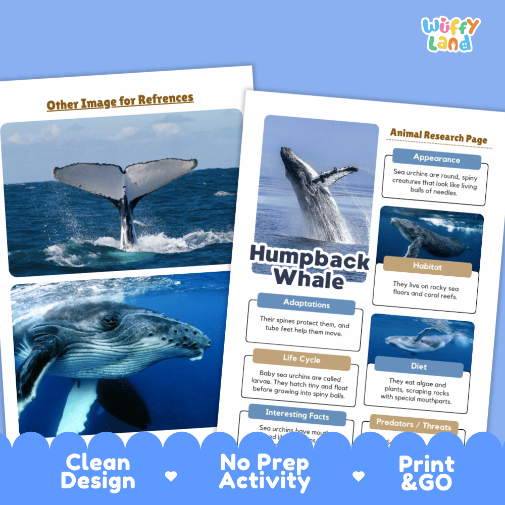 Two printed whale-themed activity sheets shown on a light gray background with a blue decorative banner at the bottom. The sheets feature whale photographs, text sections about humpback whales, and the brand name 'Wuffly Land' in the top right corner.