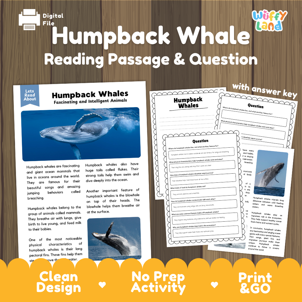 Humpback Whale Reading Passage and Comprehension Questions with Answer Key Worksheets