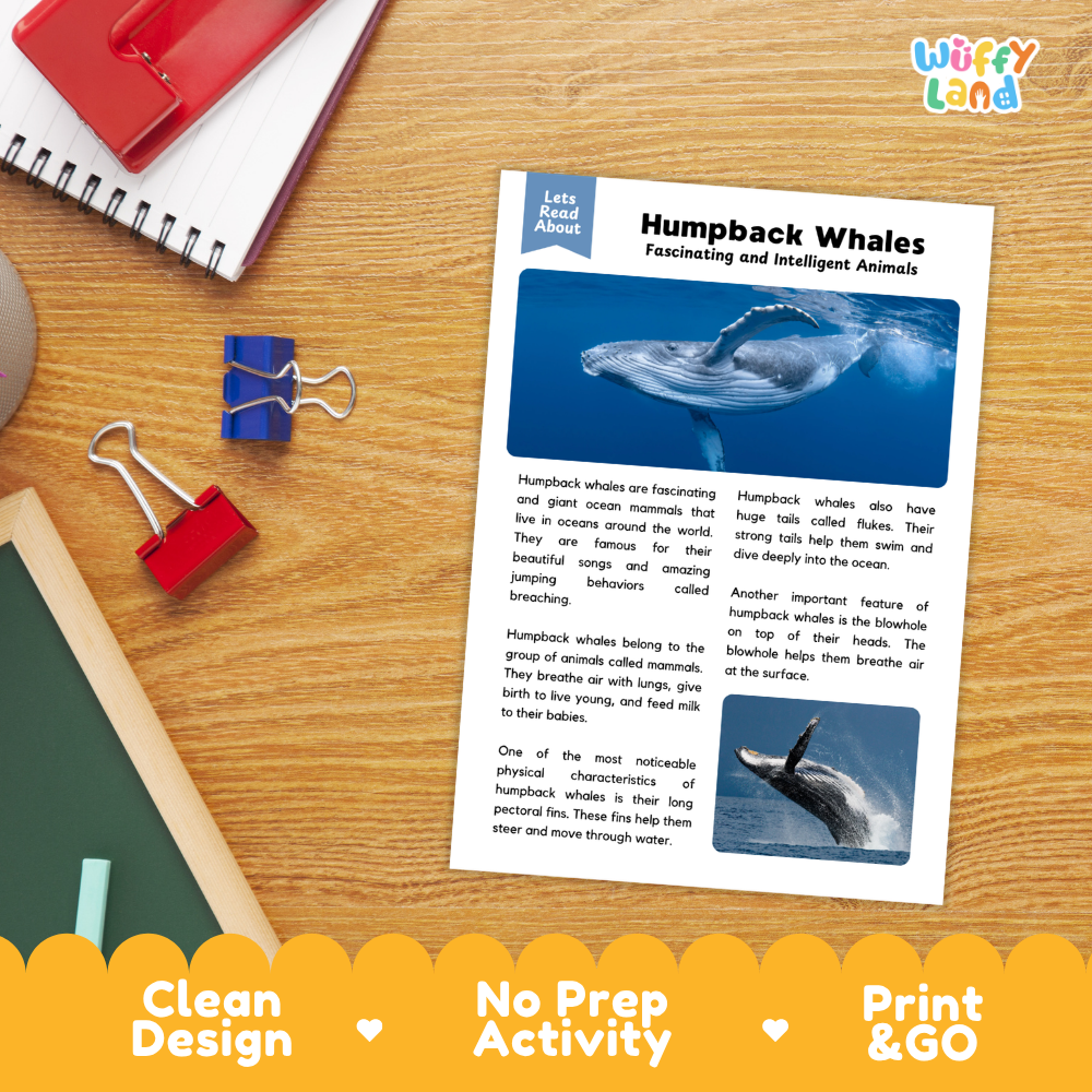 Humpback Whale Reading Passage and Comprehension Questions with Answer Key Worksheets