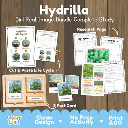 Hydrilla plant 3in1 real image bundle complete study printable featuring life cycle cut and paste worksheets, Montessori 3-part cards, and research pages