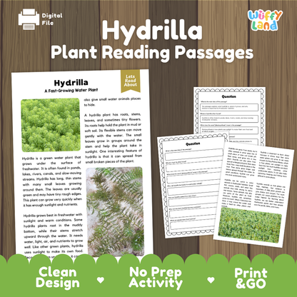 Hydrilla Plant Reading Passages Worksheets and Comprehension Activity