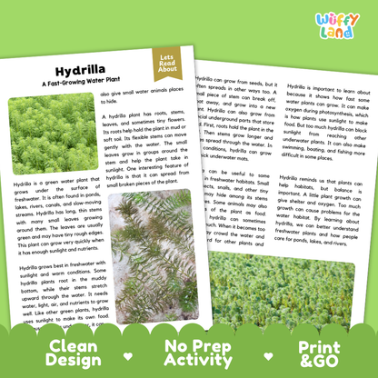 Hydrilla Plant Reading Passages Worksheets and Comprehension Activity
