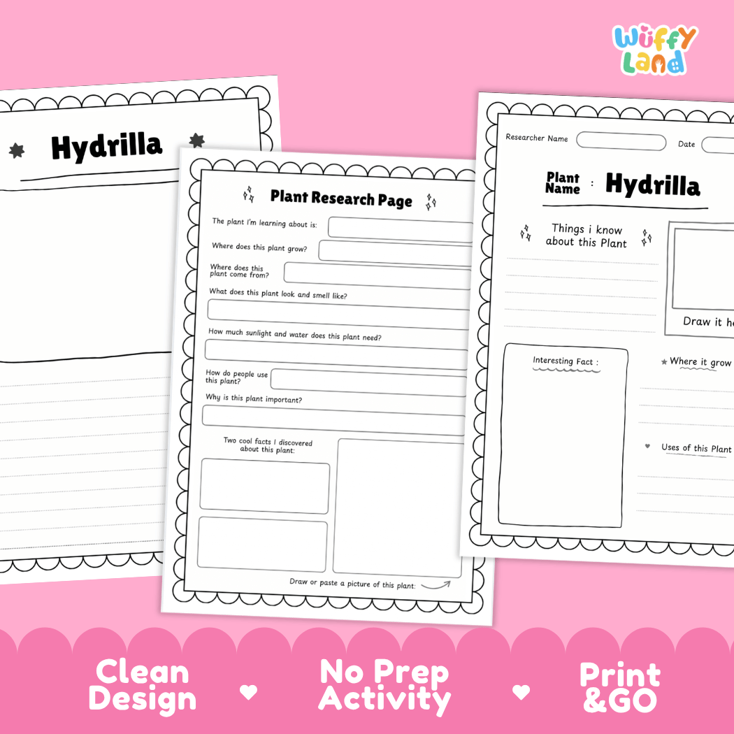 Three printable worksheet pages for a plant research activity titled 'Hydrilla' are shown on a pink background with promotional text at the bottom. The pages are black-and-white activity sheets with fields for writing, drawing, and notes, and the brand name 'Wiffi Land' appears in the top right.