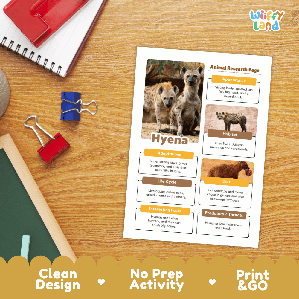 An educational animal research page about a hyena displayed on a wooden desk, surrounded by school supplies like a red notebook, binder clips, and a chalkboard. The page features colorful text boxes, animal photos, and headings including 'Animal Research Page', 'Hyena', 'Appearance', 'Habitat', 'Adaptations', 'Life Cycle', 'Diet', and 'Predators / Prey'.