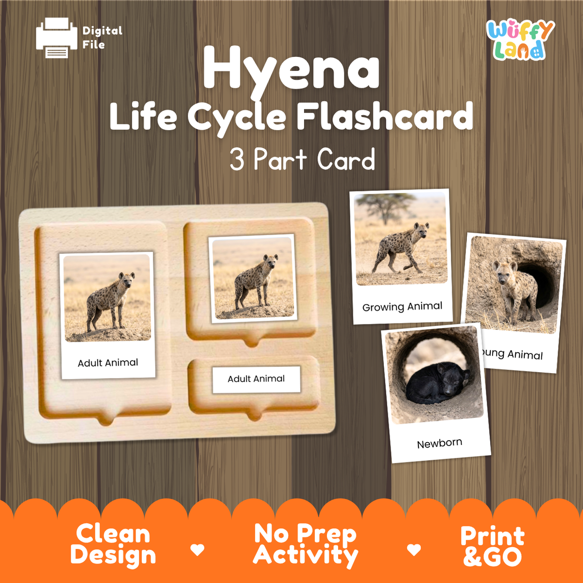 Hyena Life Cycle Flashcards | Montessori 3 Part Cards Mammal Activity