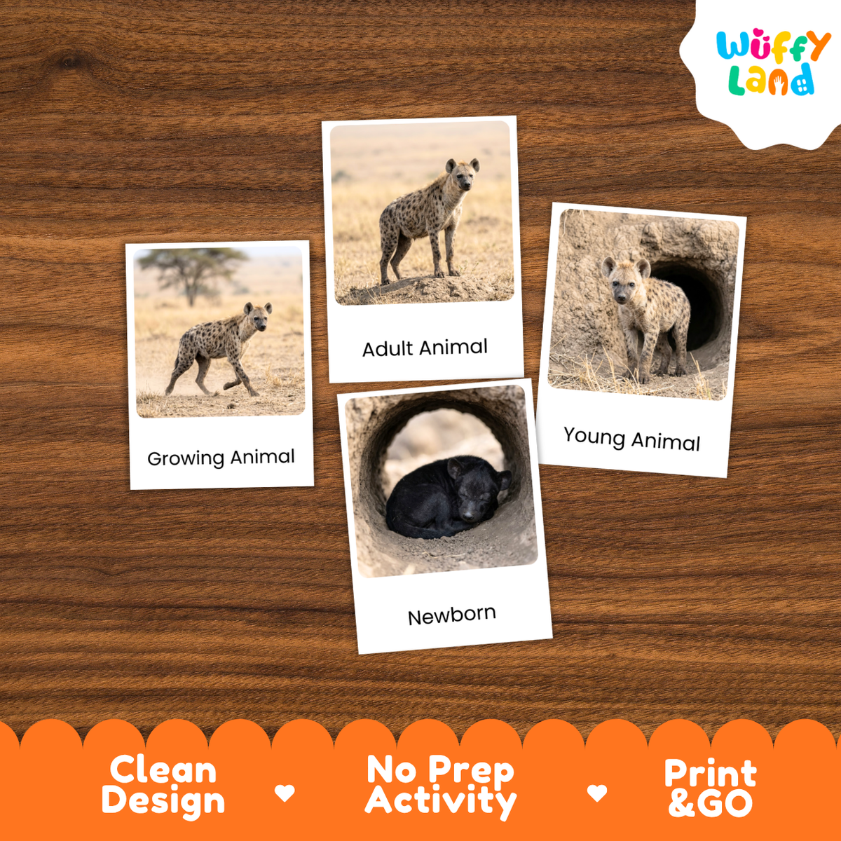 Hyena Life Cycle Flashcards | Montessori 3 Part Cards Mammal Activity