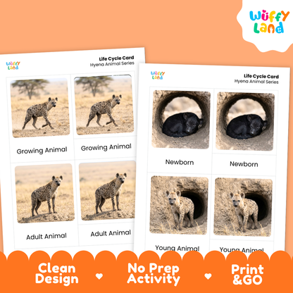 Two printable Hyena Animal Series Life Cycle Cards shown on an orange background. The left card shows a growing animal, and the right card shows newborn, young animal, and adult animal stages.