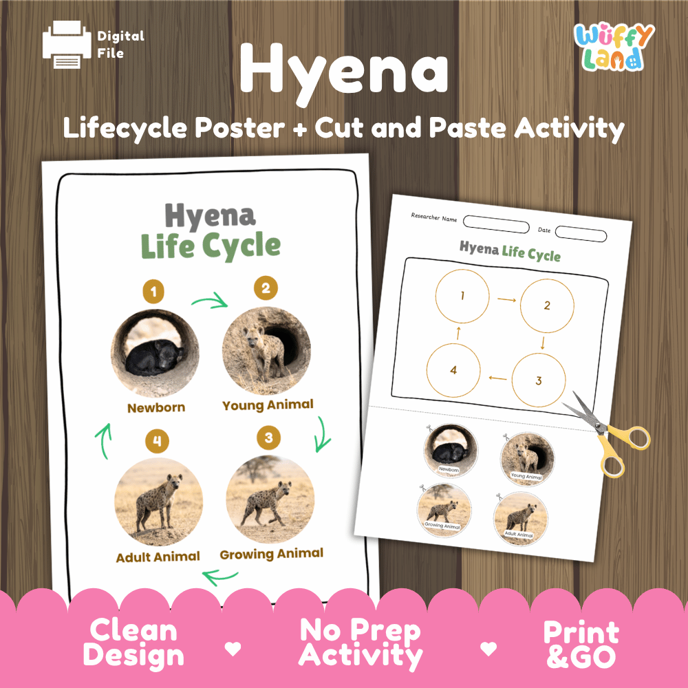 Hyena Life Cycle Poster and Cut and Paste Activity Worksheets