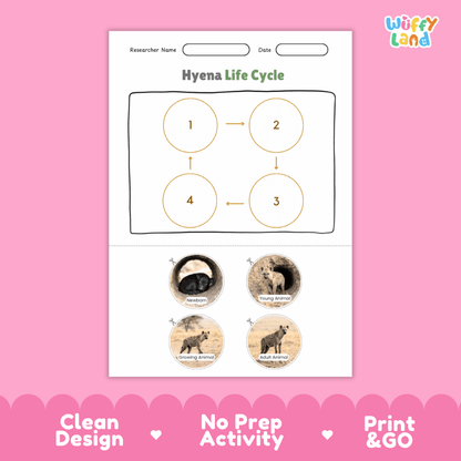 Hyena Life Cycle Poster and Cut and Paste Activity Worksheets