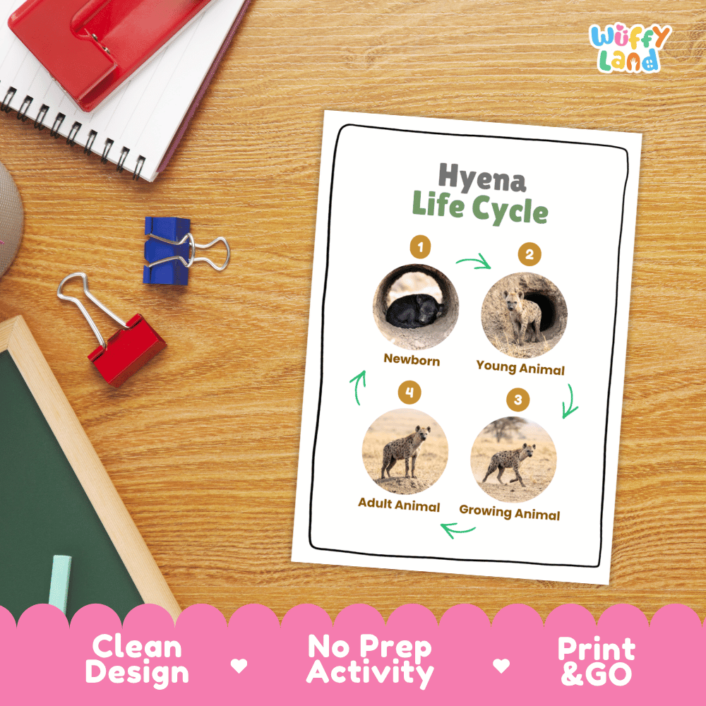 Hyena Life Cycle Poster and Cut and Paste Activity Worksheets