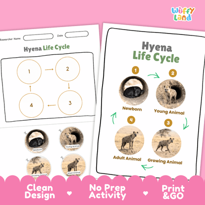 Hyena Life Cycle Poster and Cut and Paste Activity Worksheets