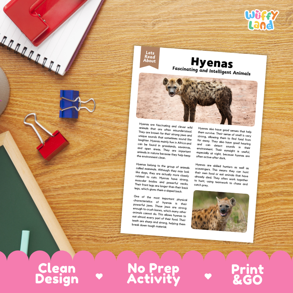 A children's educational activity sheet about hyenas titled 'Hyenas Fascinating and Intelligent Animals' laid on a wooden desk, surrounded by school supplies including a spiral notebook, red binder clips, and a blue pen. The sheet includes animal photos and text, with a pink banner at the bottom reading 'Clean Design', 'No Prep Activity', and 'Print & GO'.