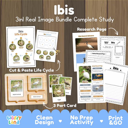 Ibis 3-in-1 real image bundle complete study cover showing cut and paste life cycle, 3 part cards, and research pages