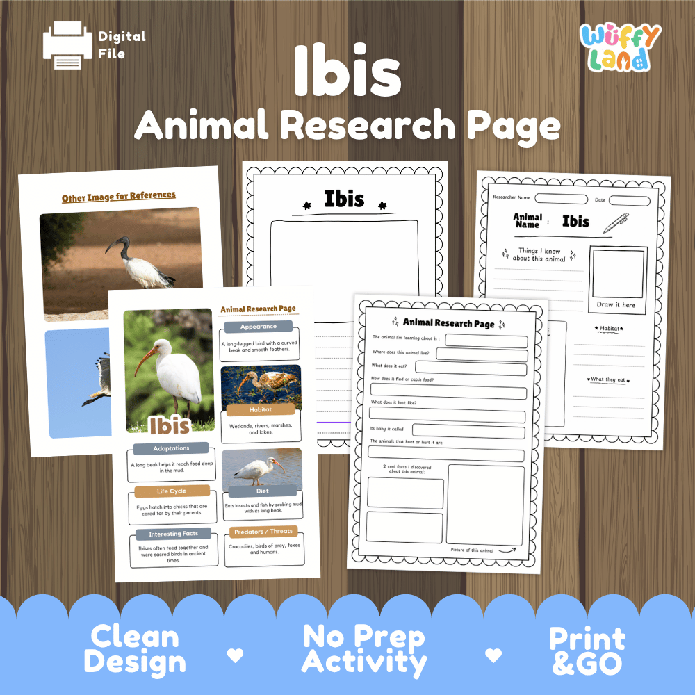 Ibis Animal Research Page Worksheets