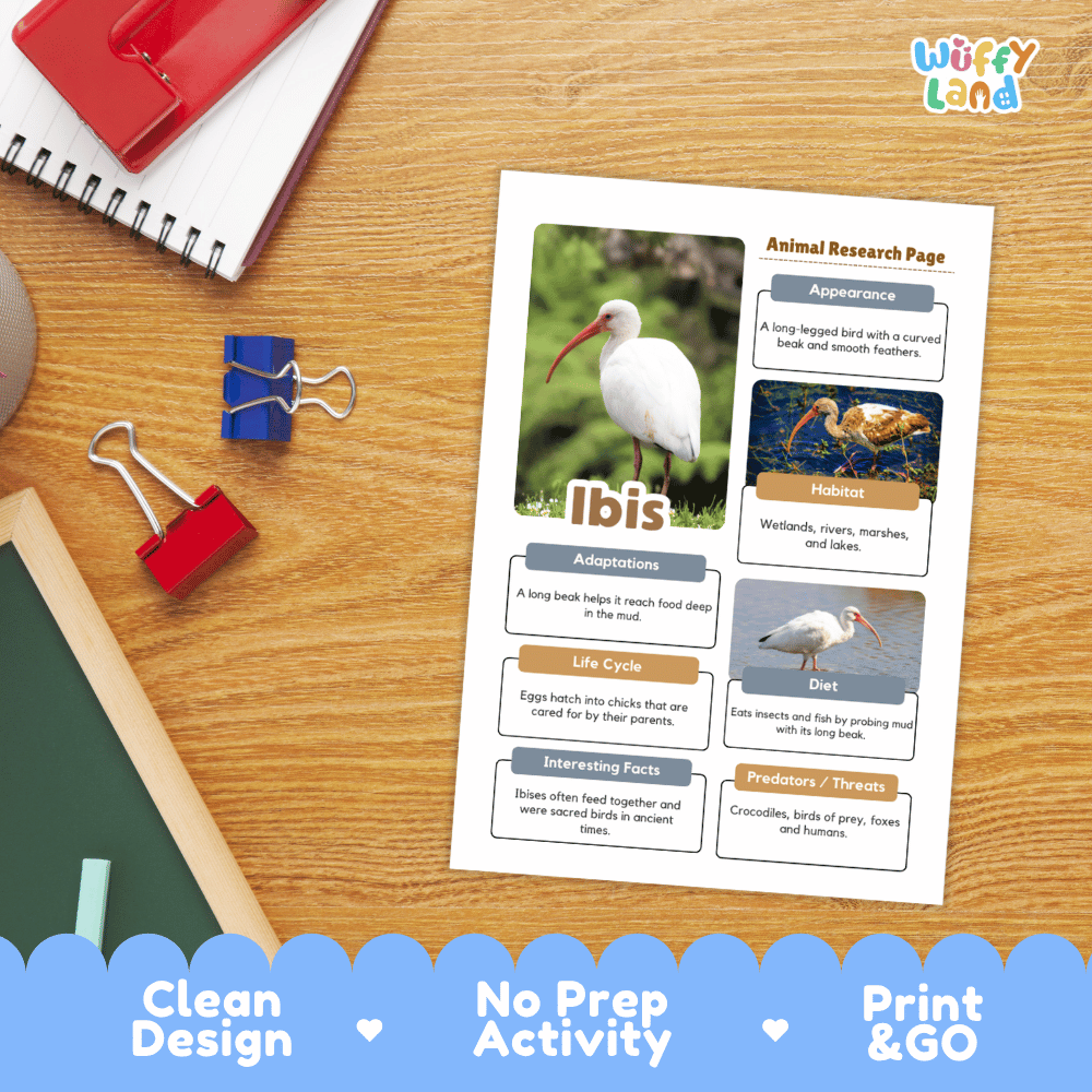 Ibis Animal Research Page Worksheets