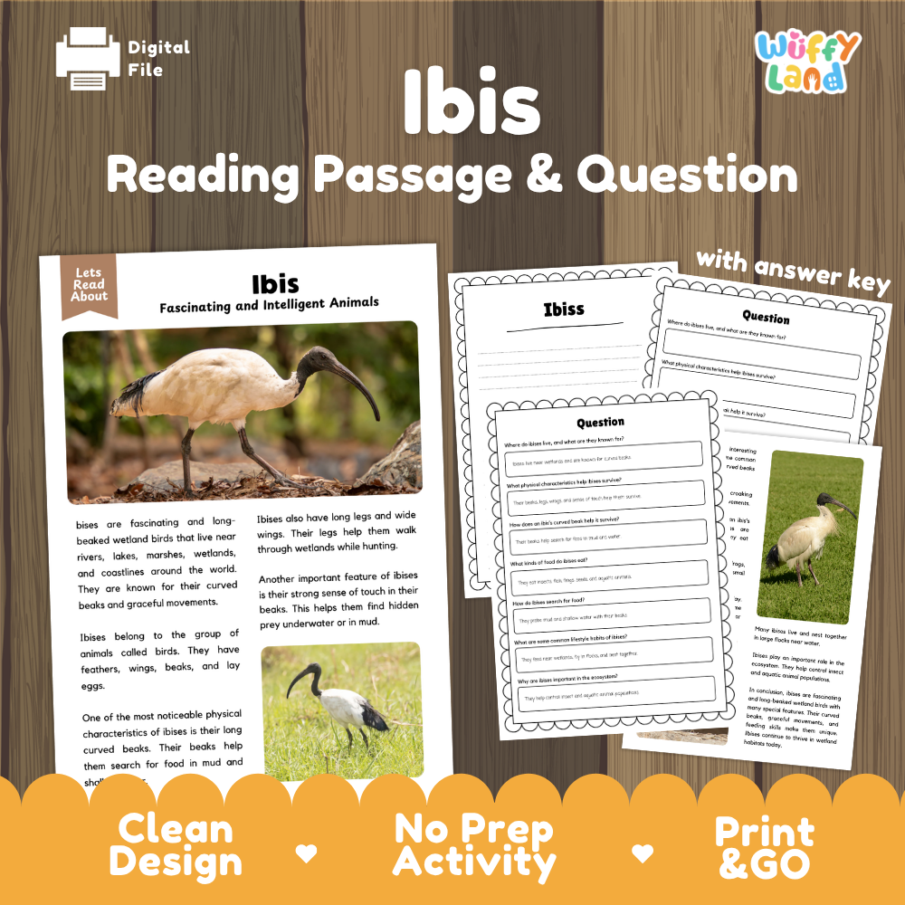 Ibis Reading Passage and Comprehension Questions Worksheets