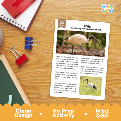 Ibis Reading Passage and Comprehension Questions Worksheets