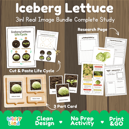 Iceberg lettuce 3in1 real image bundle complete study printable featuring life cycle cut and paste worksheets, Montessori 3-part cards, and research pages