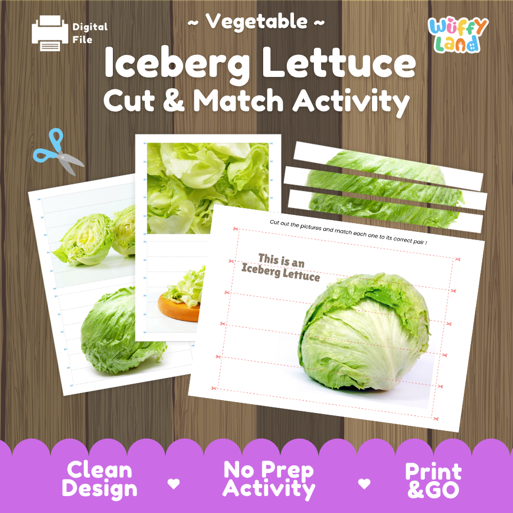 Iceberg lettuce cut and match activity cover showing printable fine motor puzzle sheets and vegetable photographs