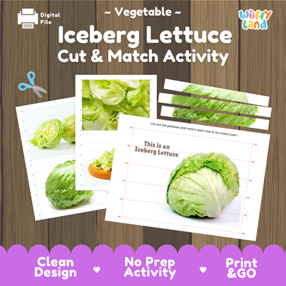 Iceberg lettuce cut and match activity cover showing printable fine motor puzzle sheets and vegetable photographs